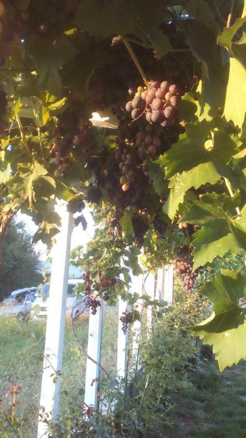 فندق Синя Луна لوزينيتس المظهر الخارجي الصورة